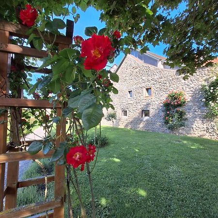 Ferienwohnung Ueberblick Radolfzell am Bodensee Ngoại thất bức ảnh